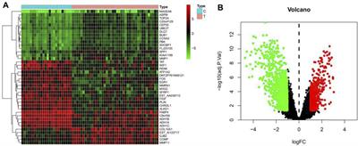 Differential Gene Analysis of Trastuzumab in Breast Cancer Based on Network Pharmacology and <mark class="highlighted">Medical Images</mark>